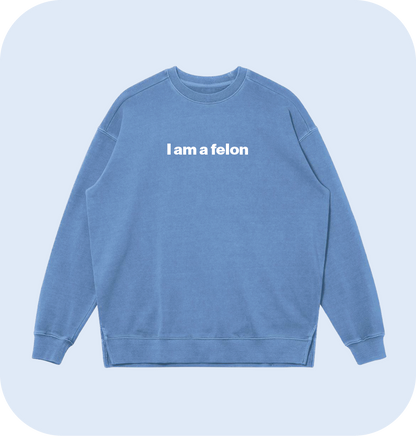 I am a felon sweatshirt