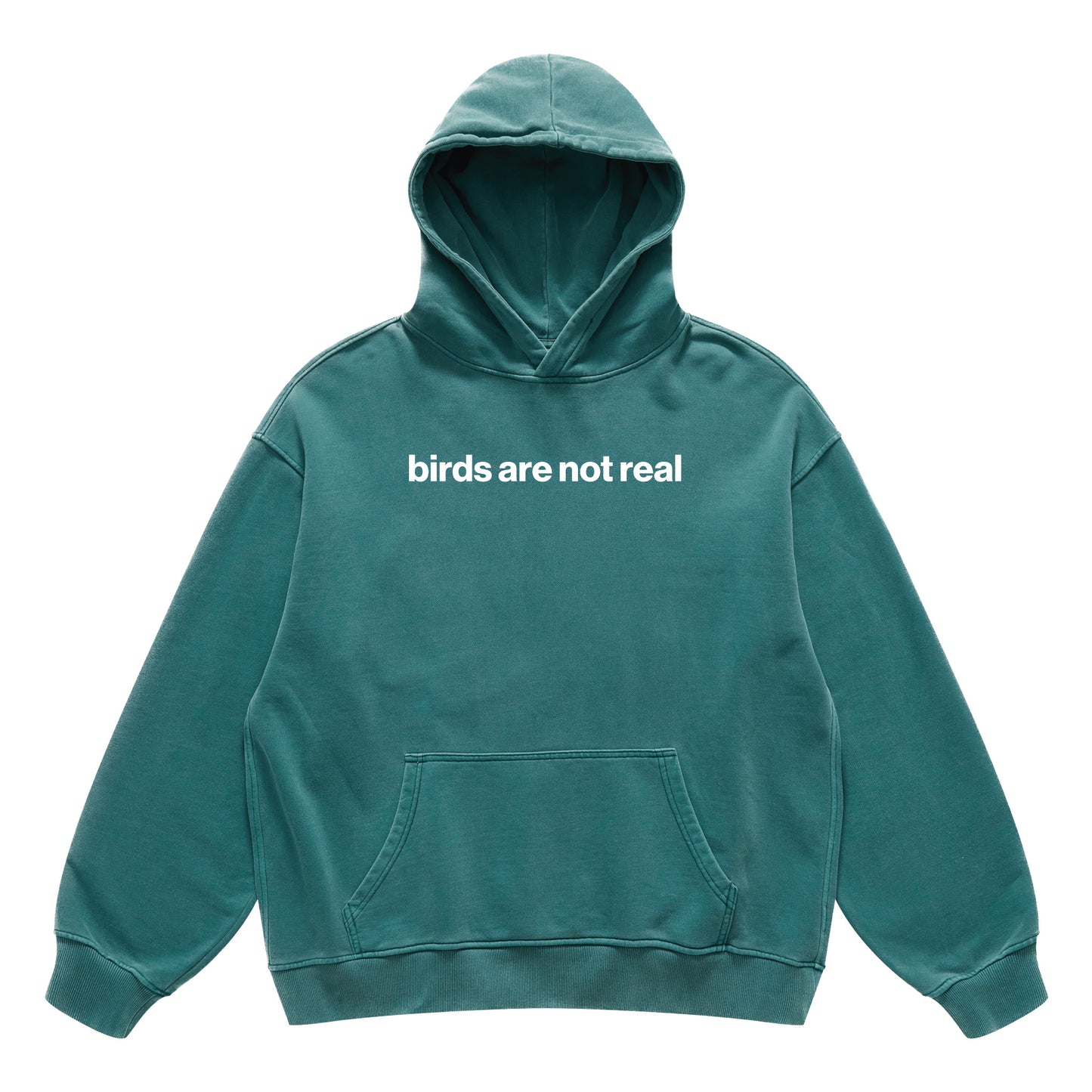 birds are not real hoodie