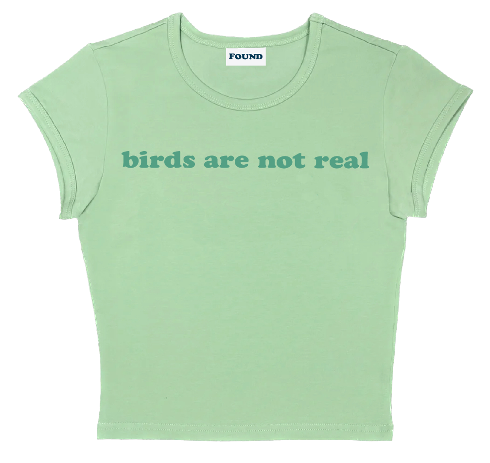 birds are not real baby tee