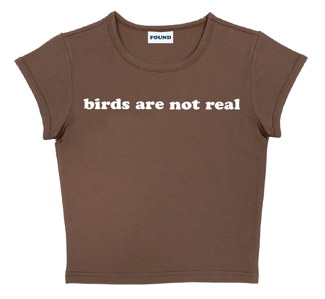 birds are not real baby tee