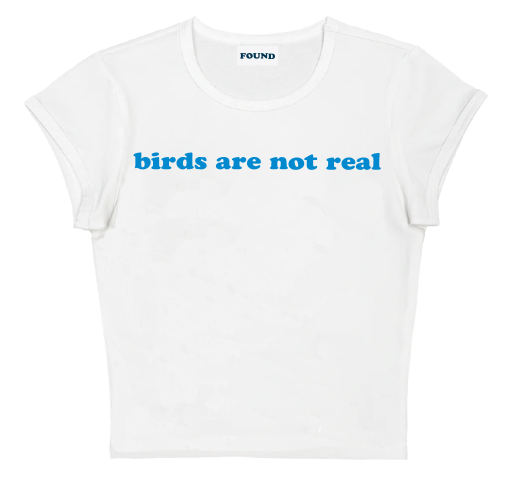 birds are not real baby tee