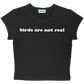 birds are not real baby tee