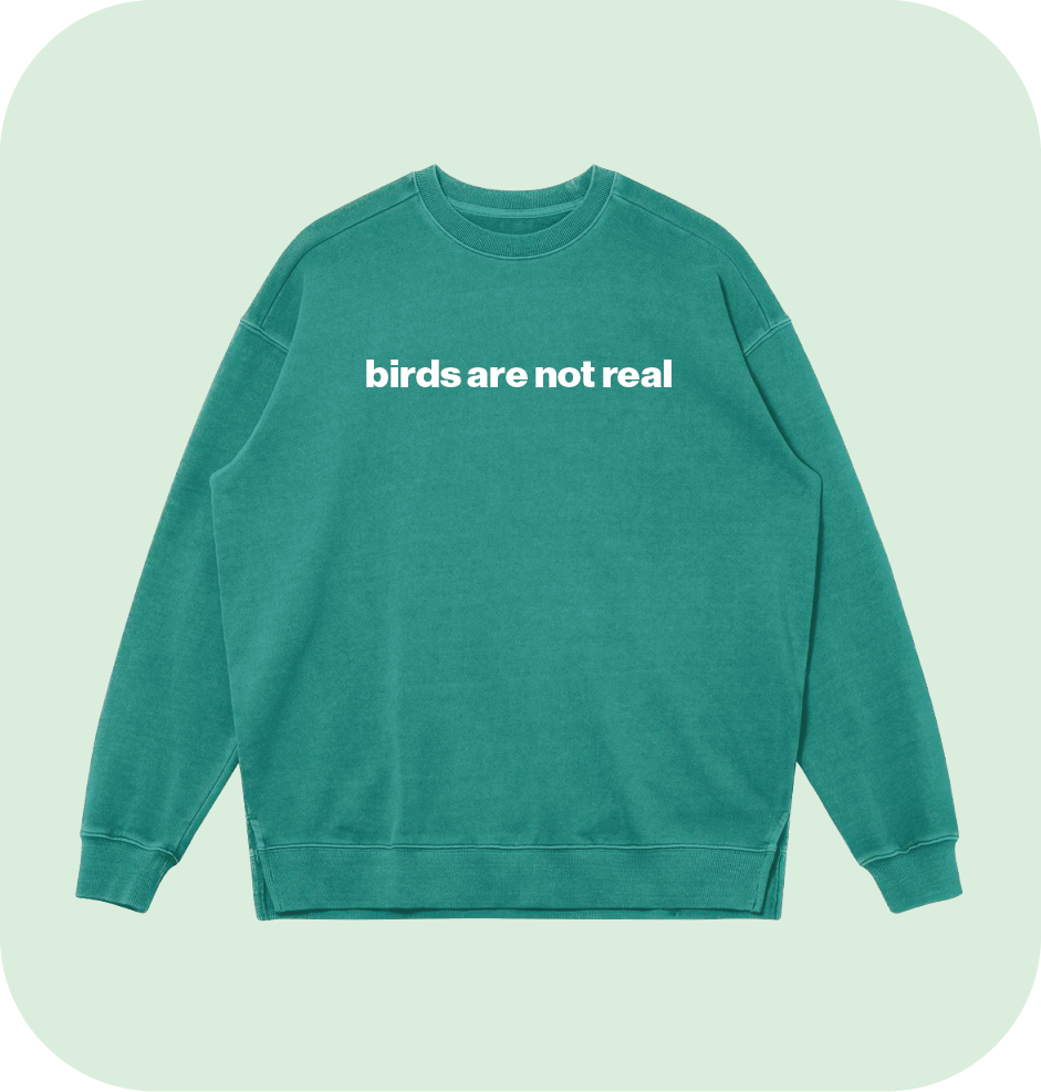 birds are not real sweatshirt