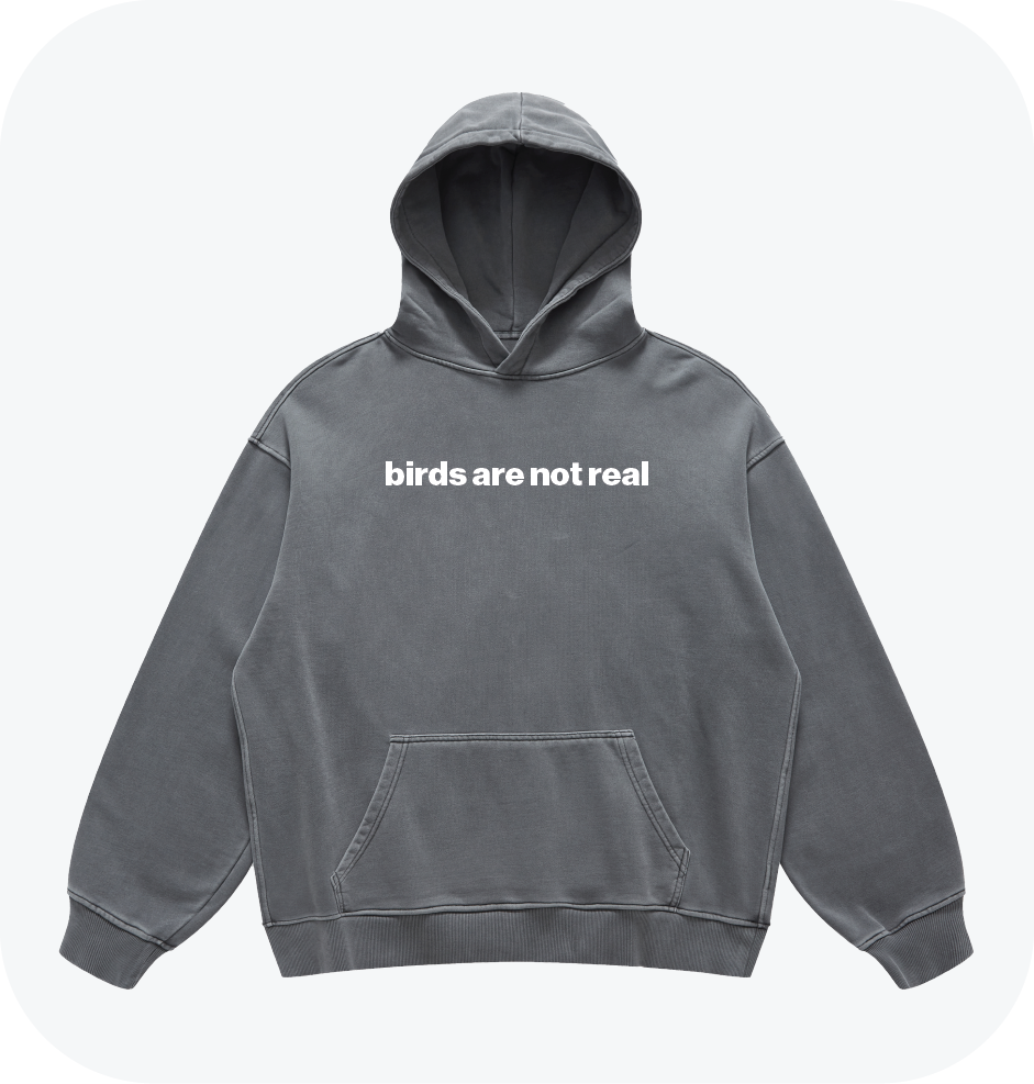 birds are not real hoodie