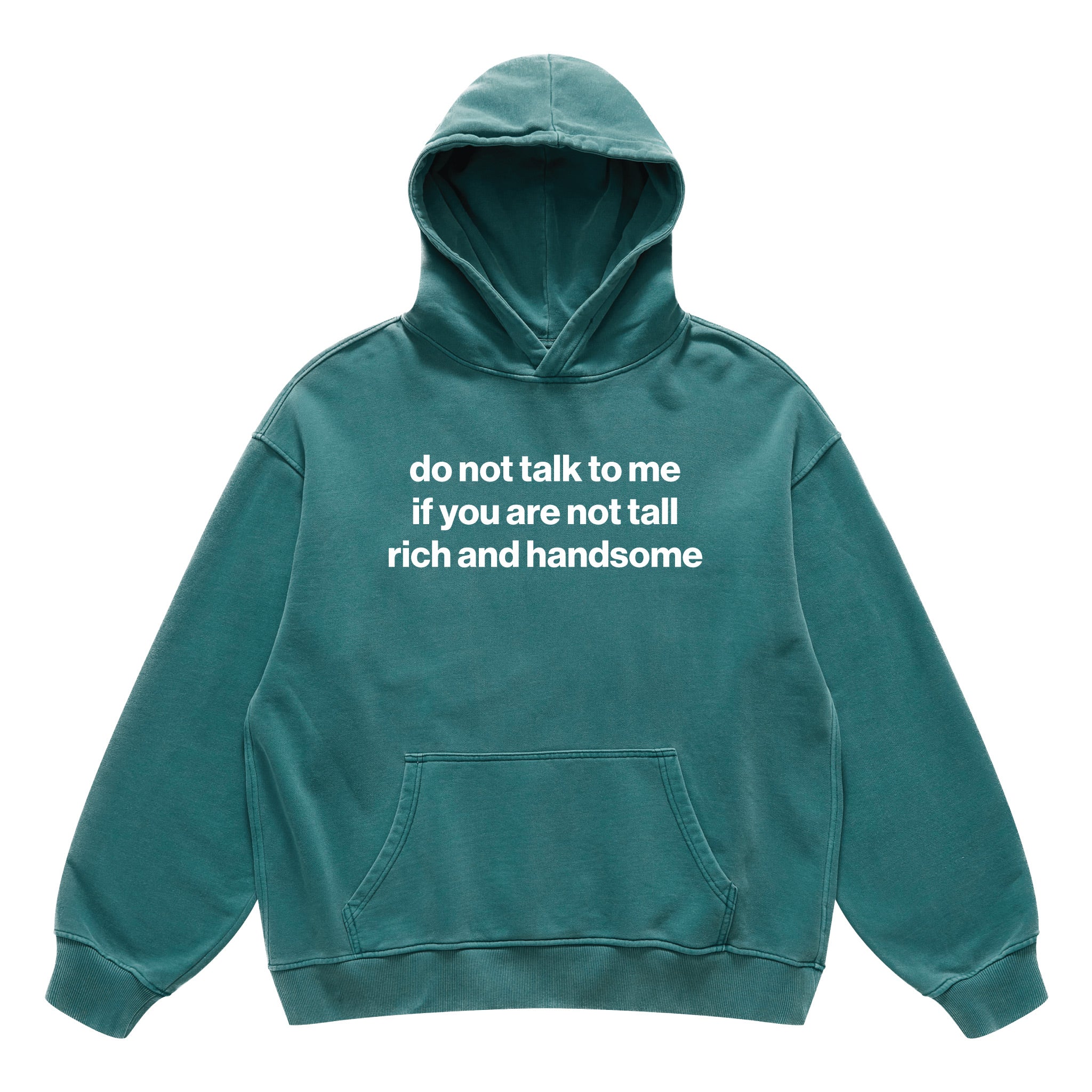 do not talk to me if you are not tall rich and handsome hoodie