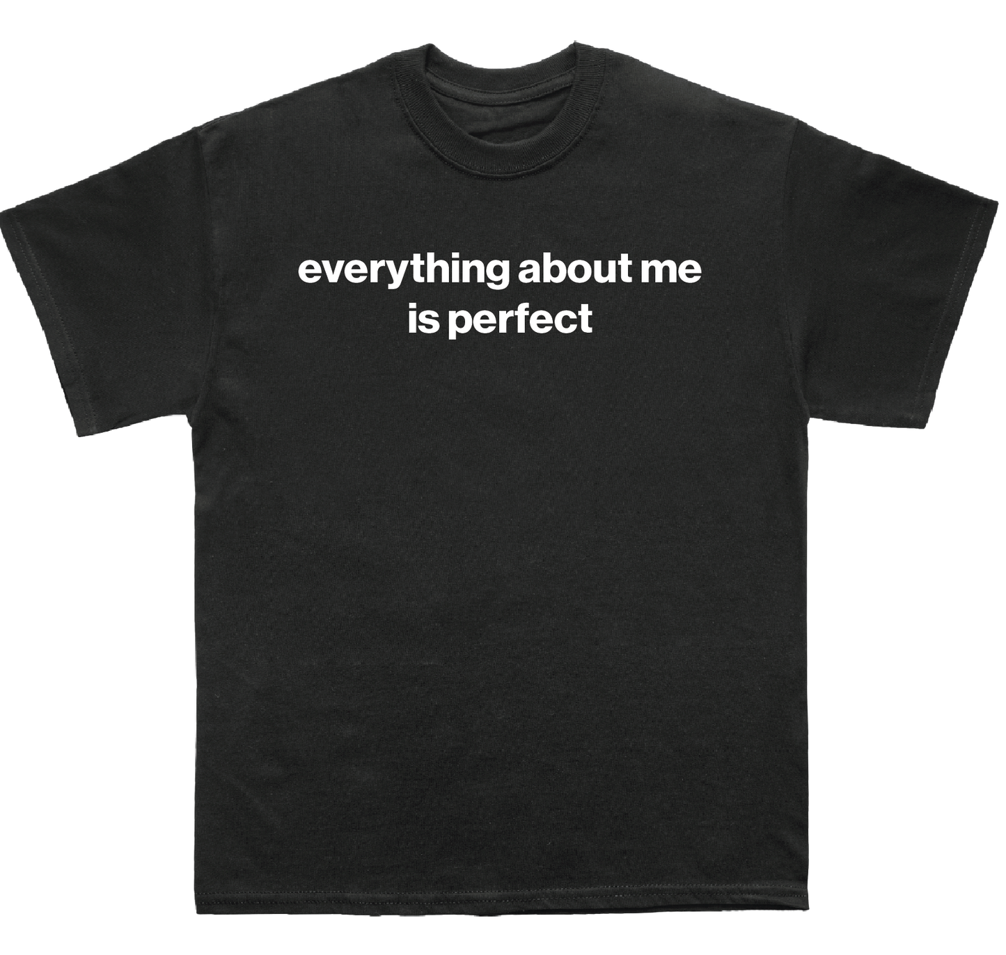 everything about me is perfect shirt