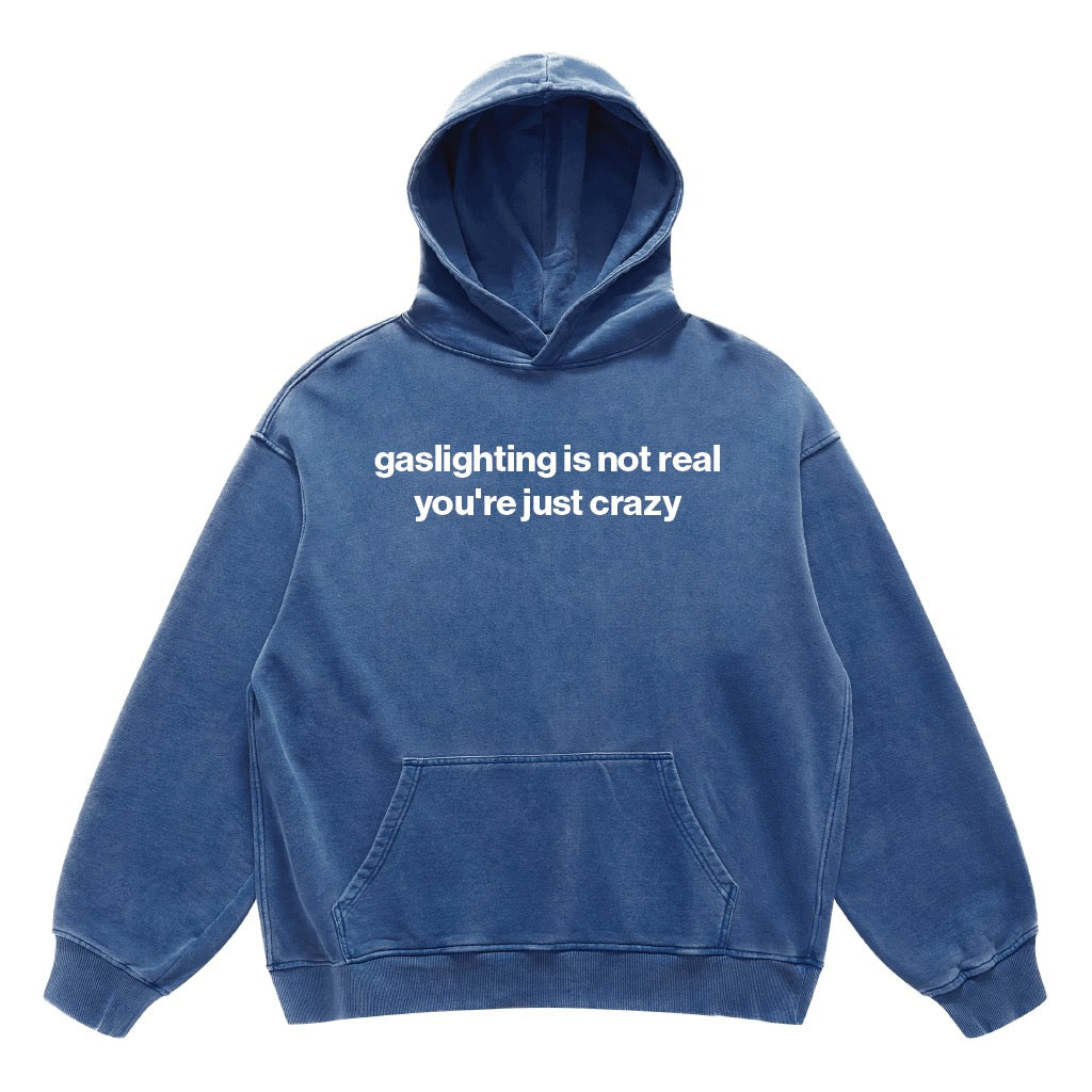 gaslighting is not real you're just crazy hoodie