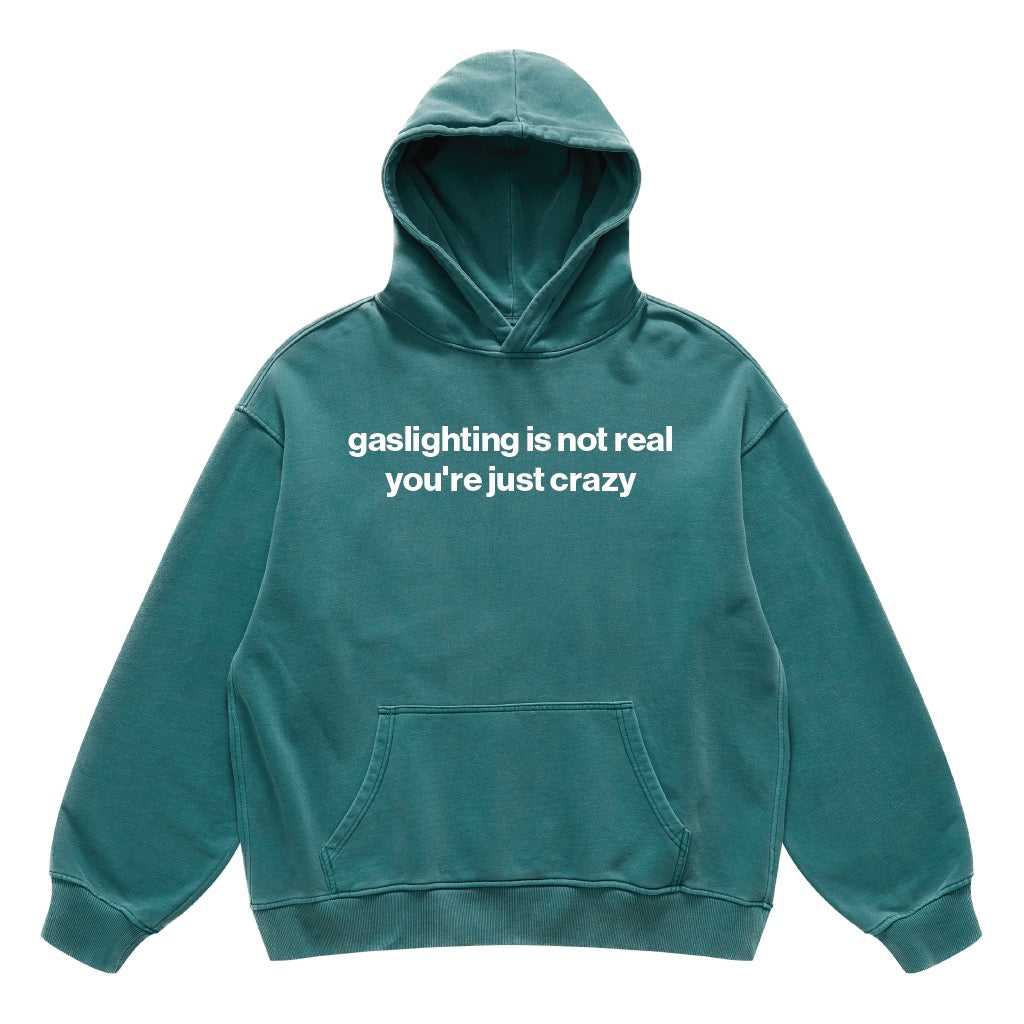 gaslighting is not real you're just crazy hoodie