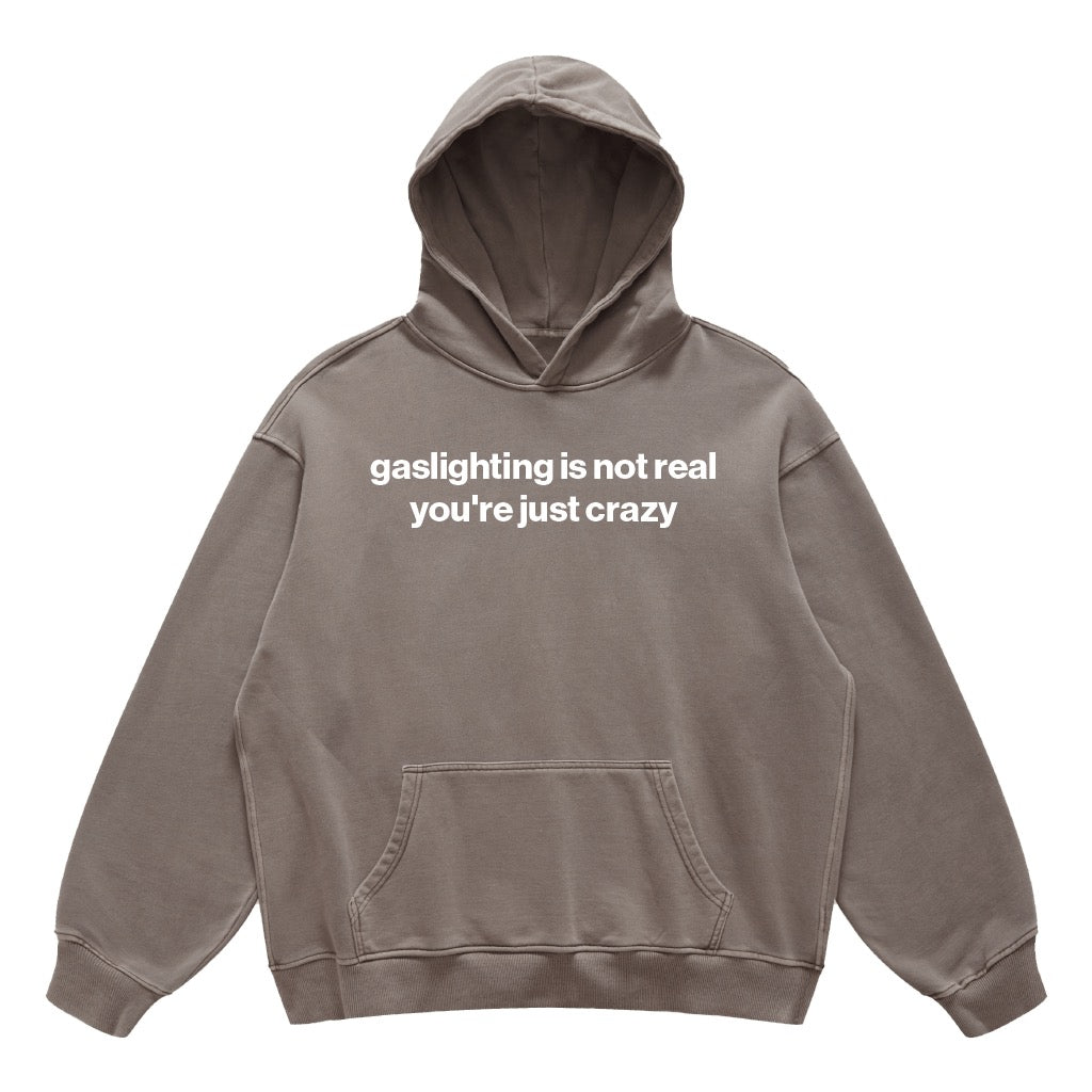 gaslighting is not real you're just crazy hoodie