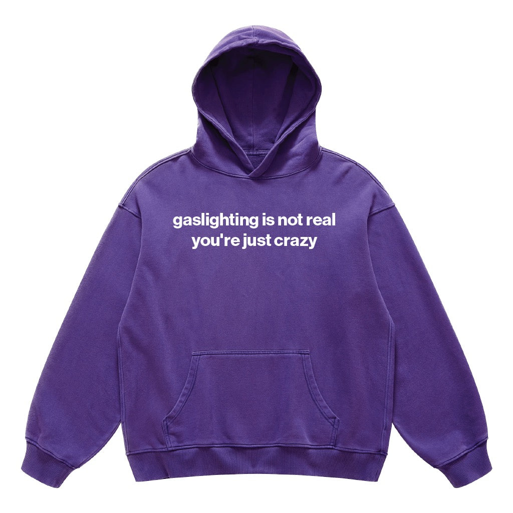 gaslighting is not real you're just crazy hoodie