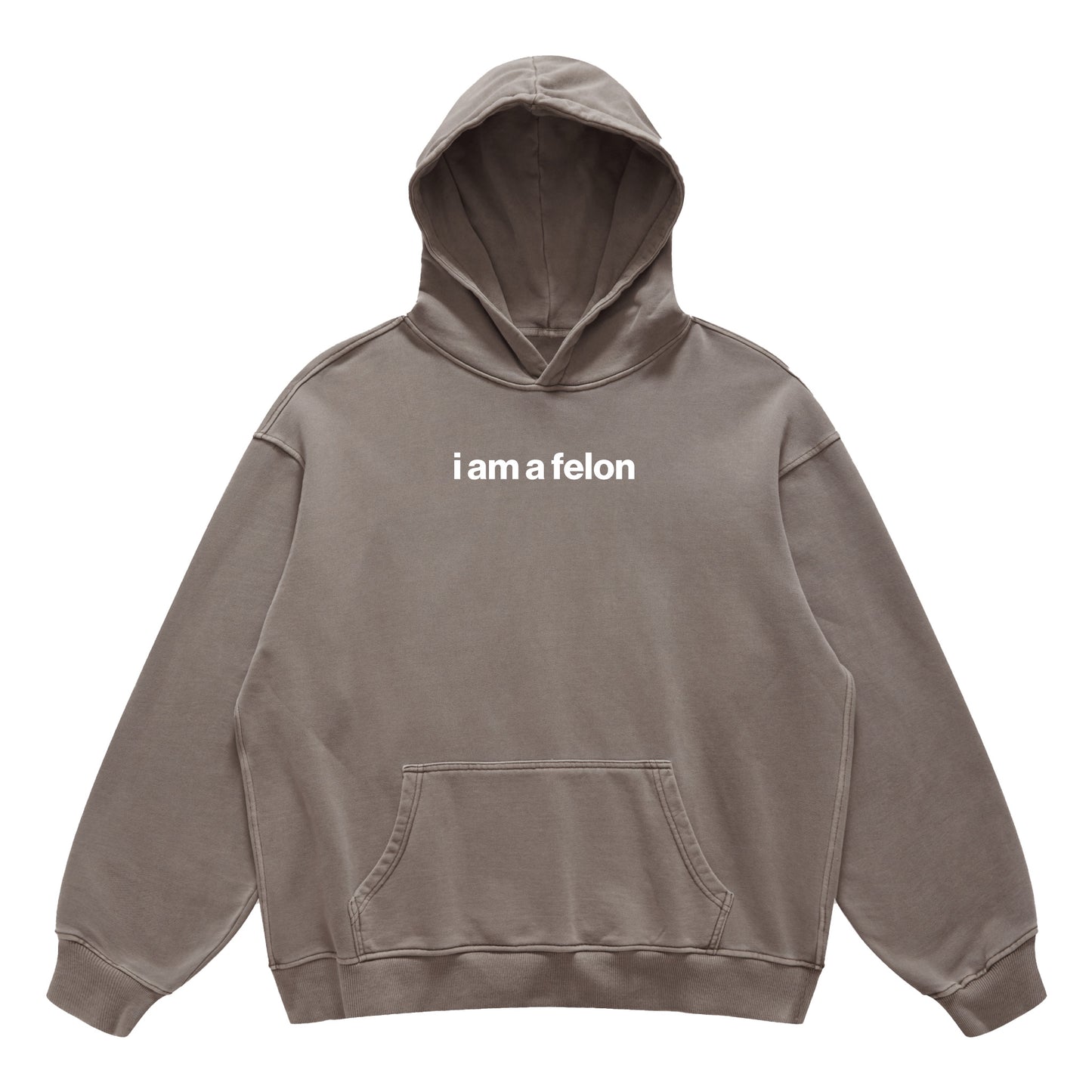 i am a felon hoodie