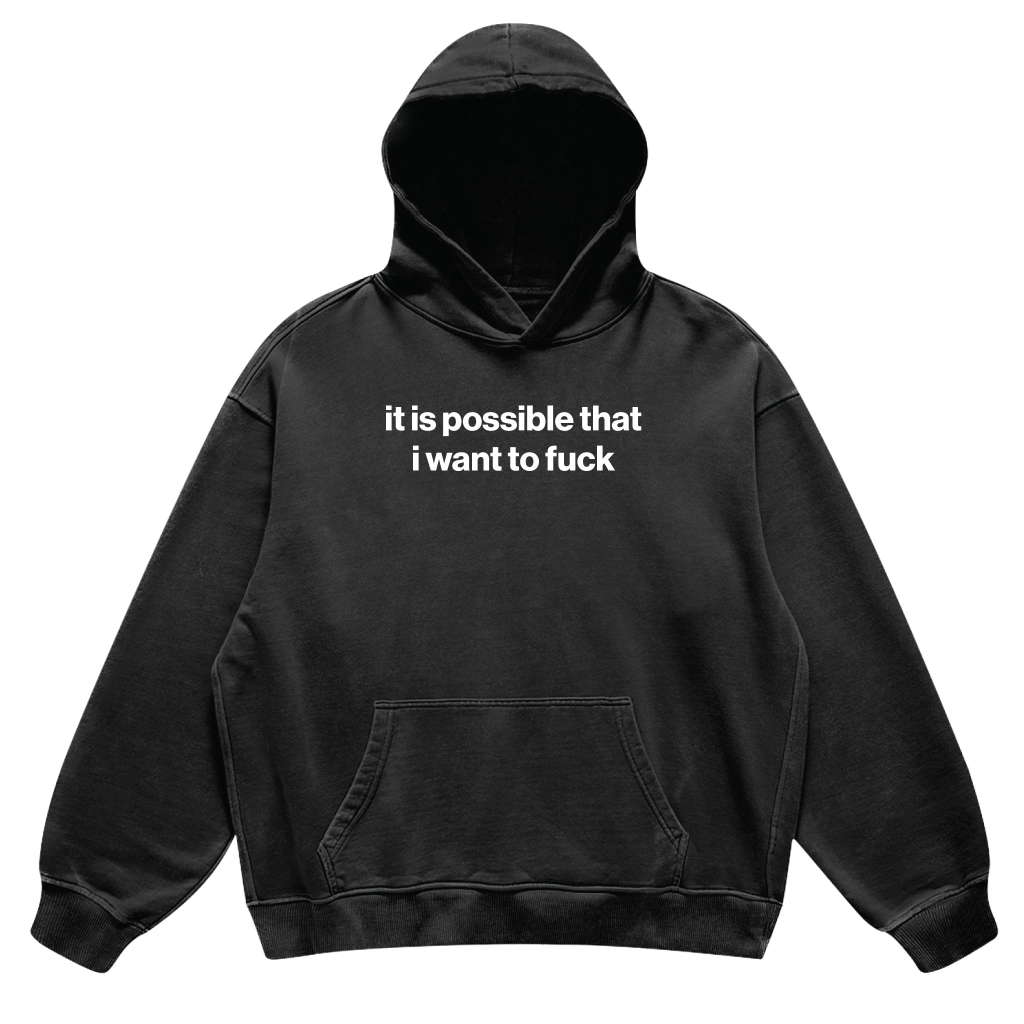 it is possible that i want to fuck hoodie