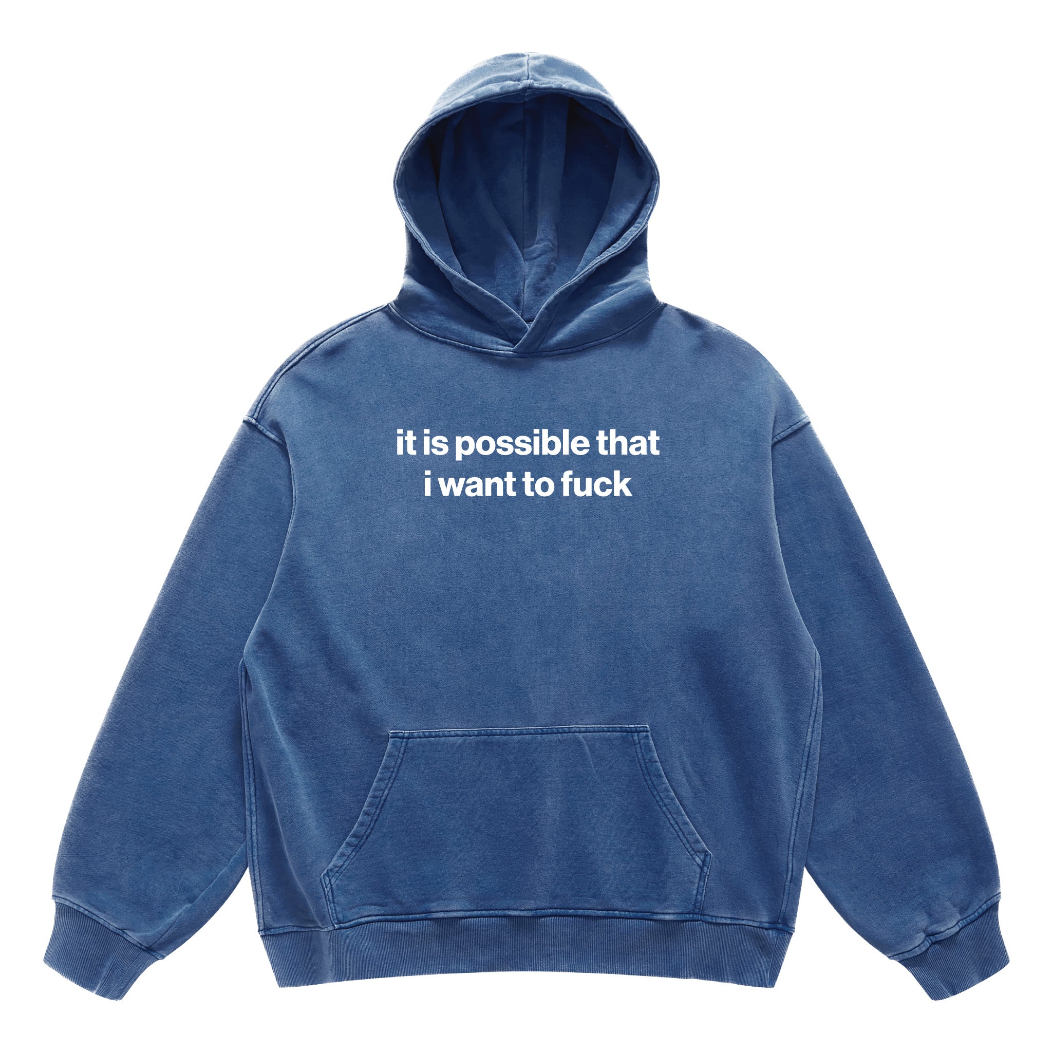 it is possible that i want to fuck hoodie