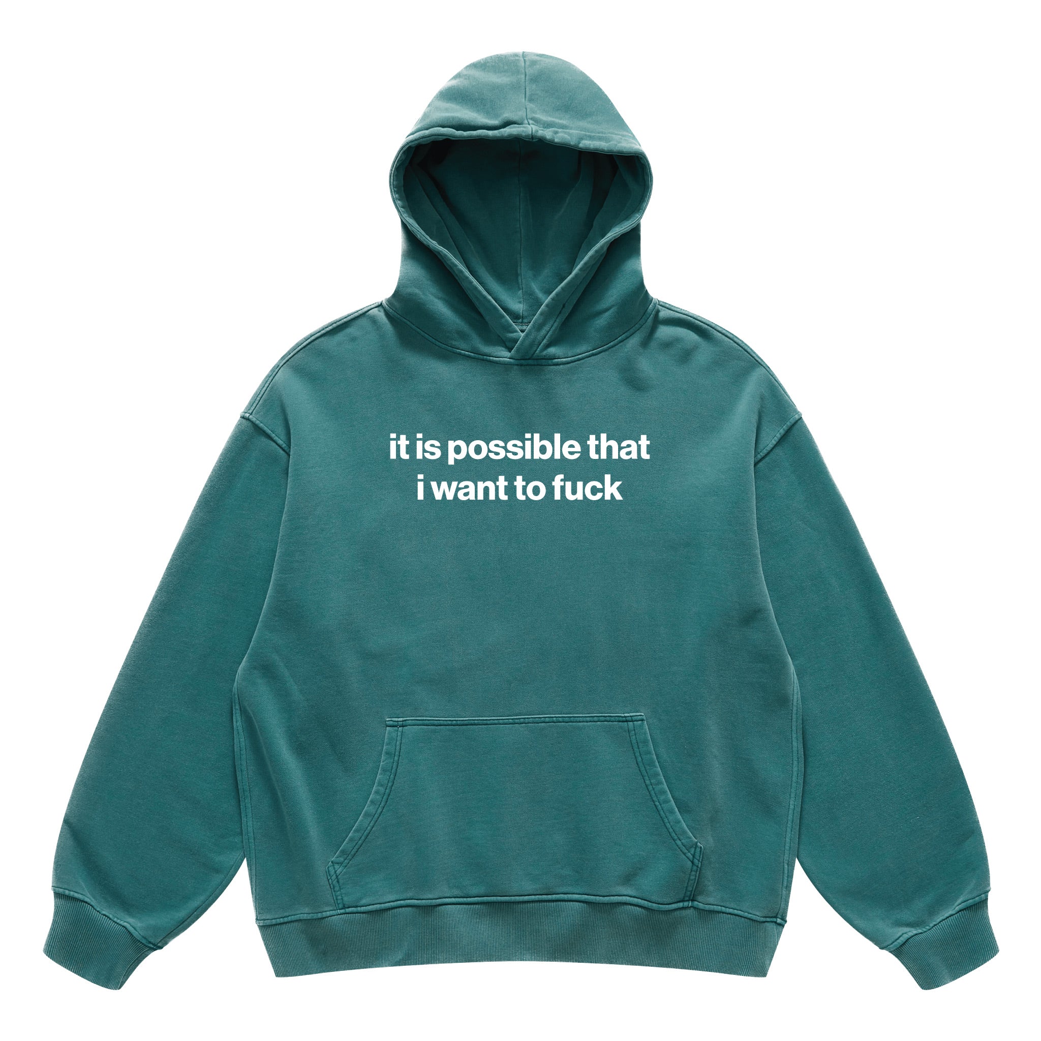 it is possible that i want to fuck hoodie