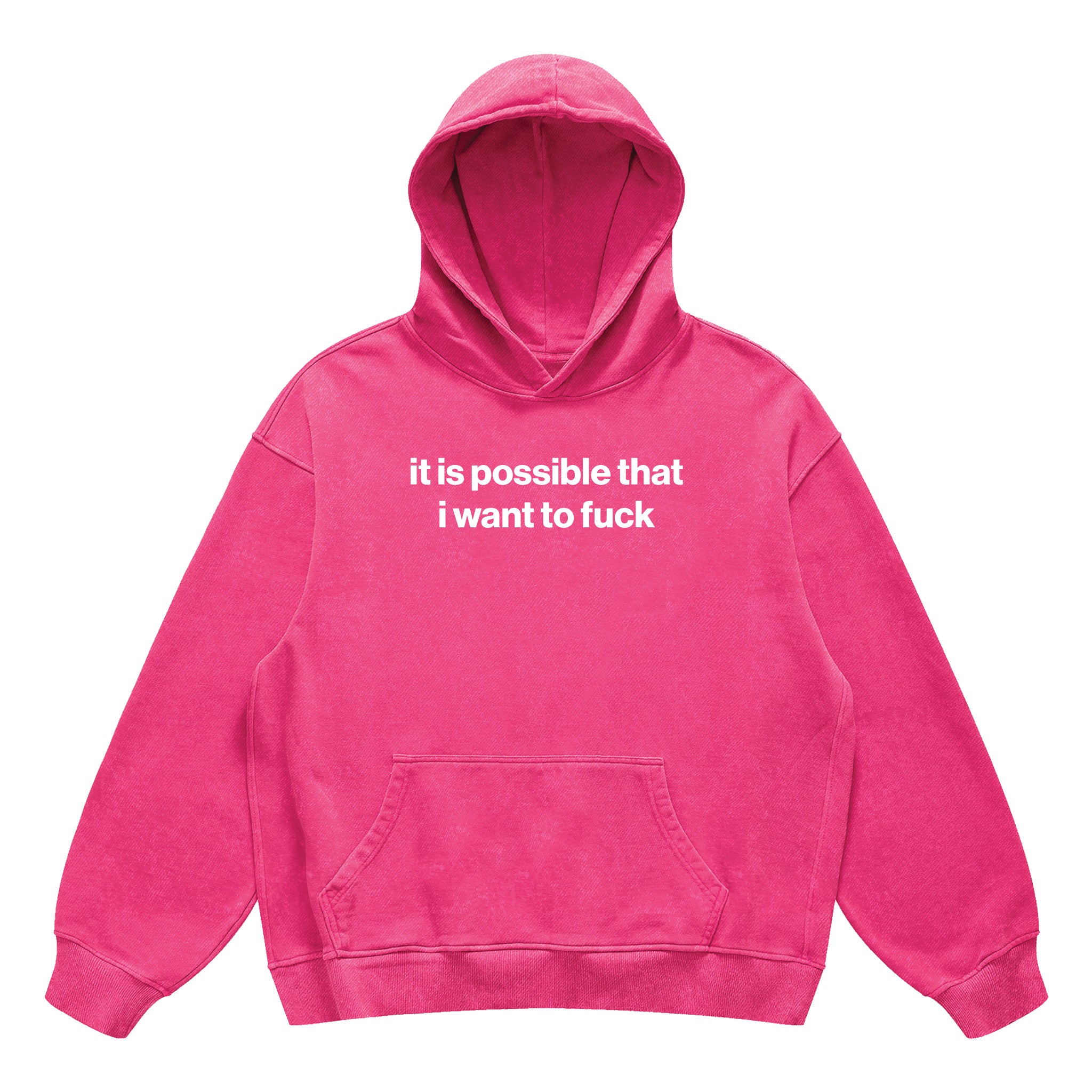 it is possible that i want to fuck hoodie