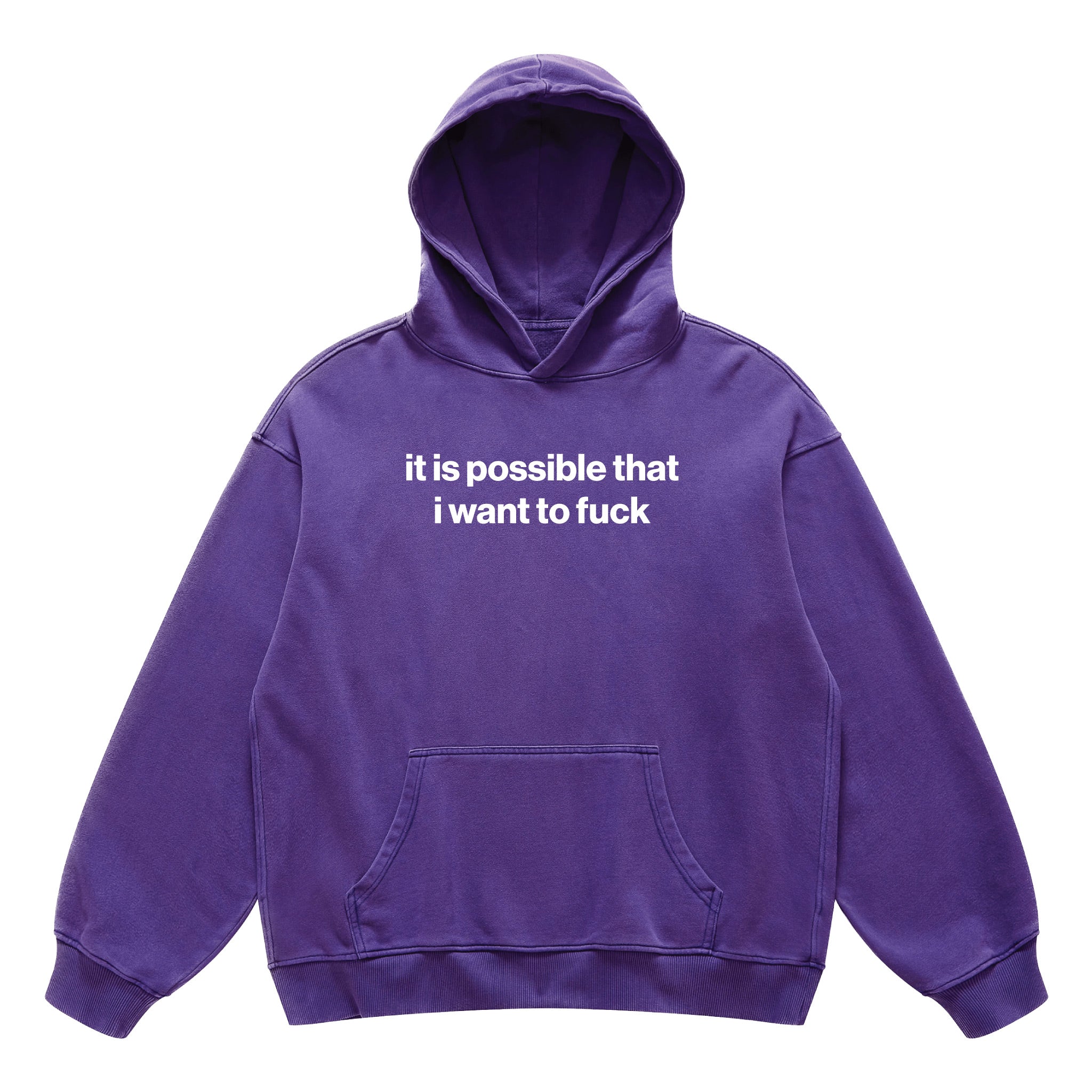 it is possible that i want to fuck hoodie