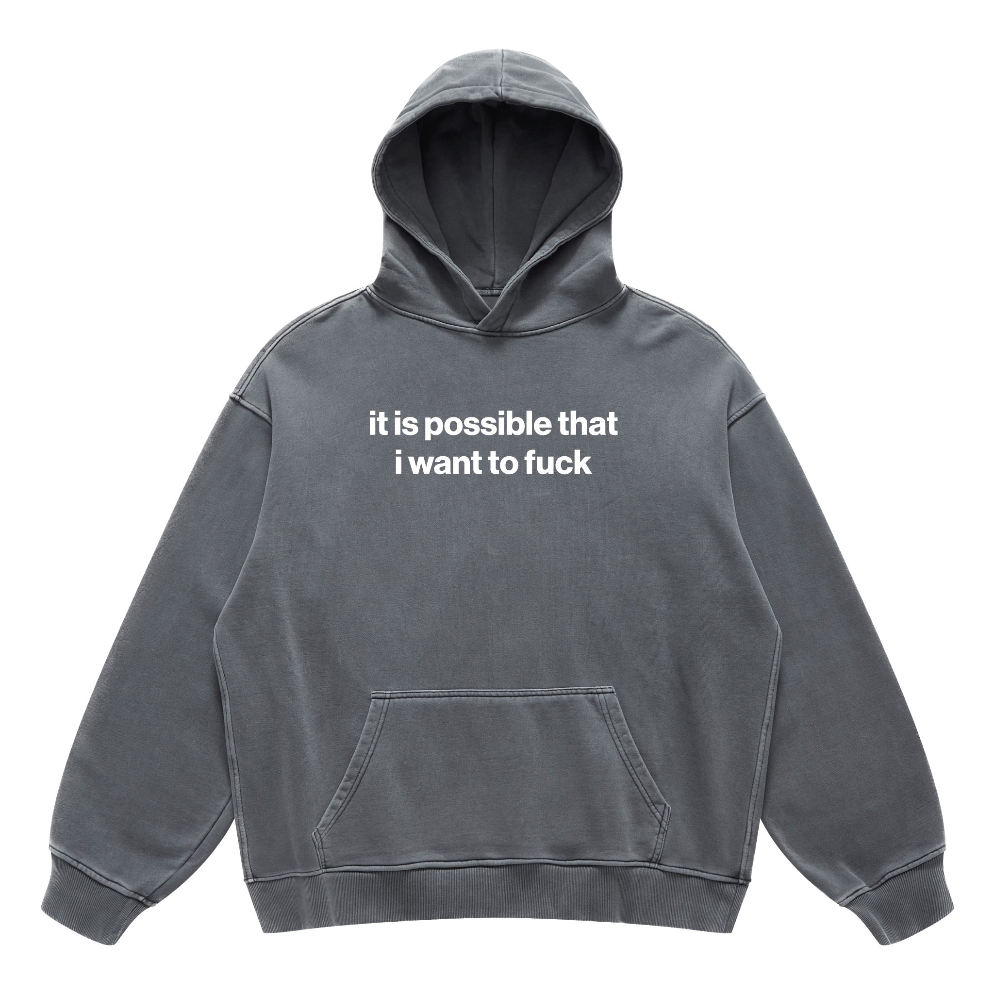 it is possible that i want to fuck hoodie