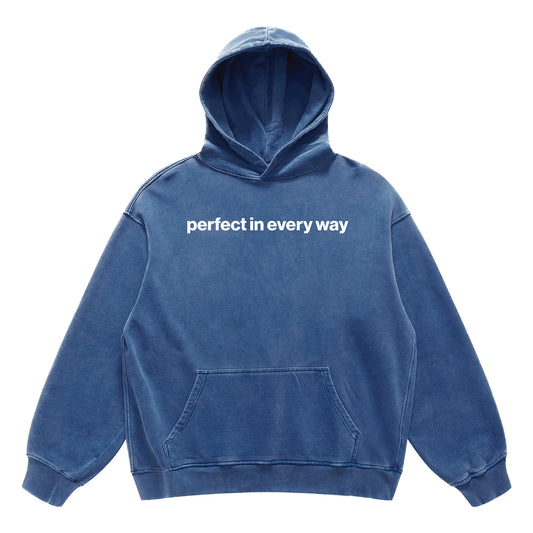 perfect in every way hoodie