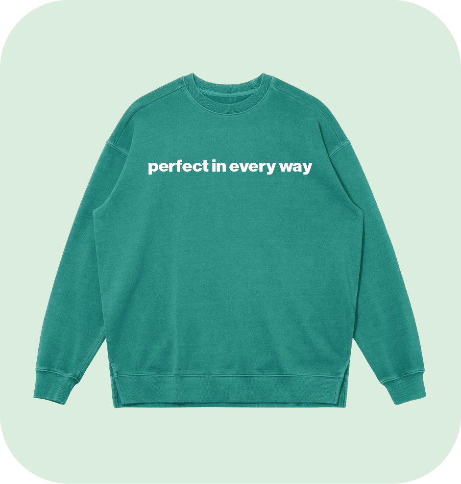 perfect in every way sweatshirt