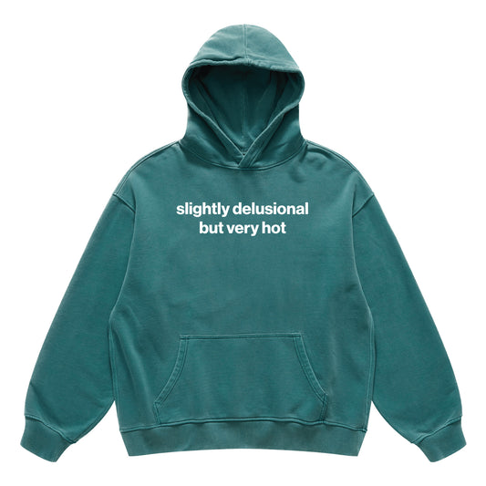 slightly delusional but very hot hoodie