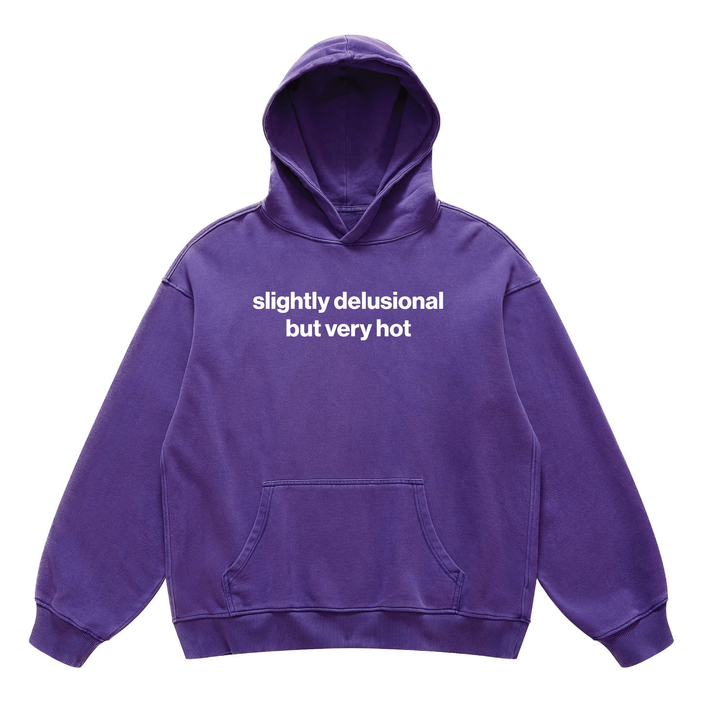 slightly delusional but very hot hoodie