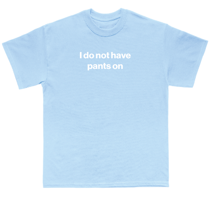 I do not have pants on shirt