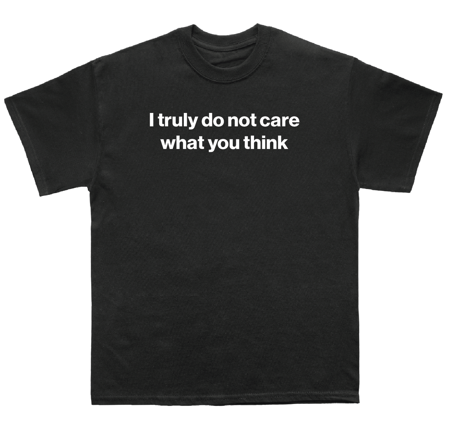 I truly do not care what you think shirt