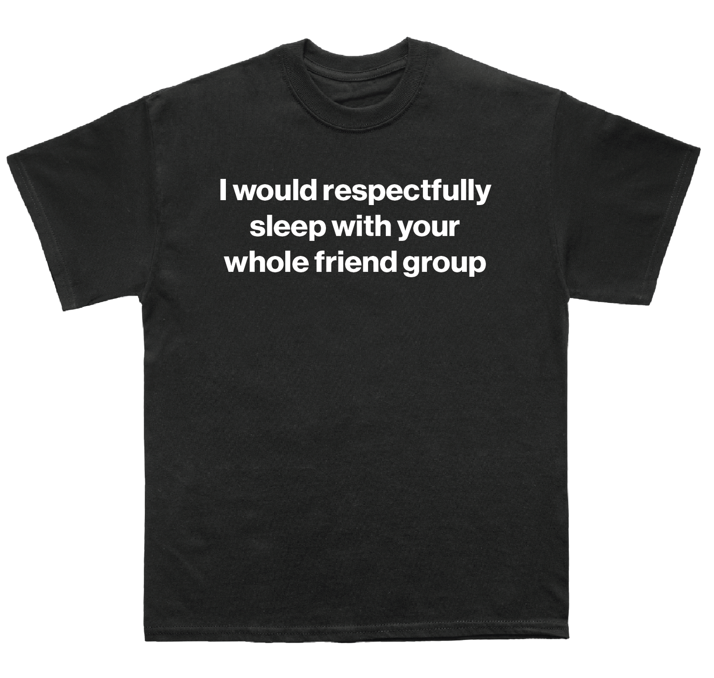 I would respectfully sleep with your whole friend group shirt