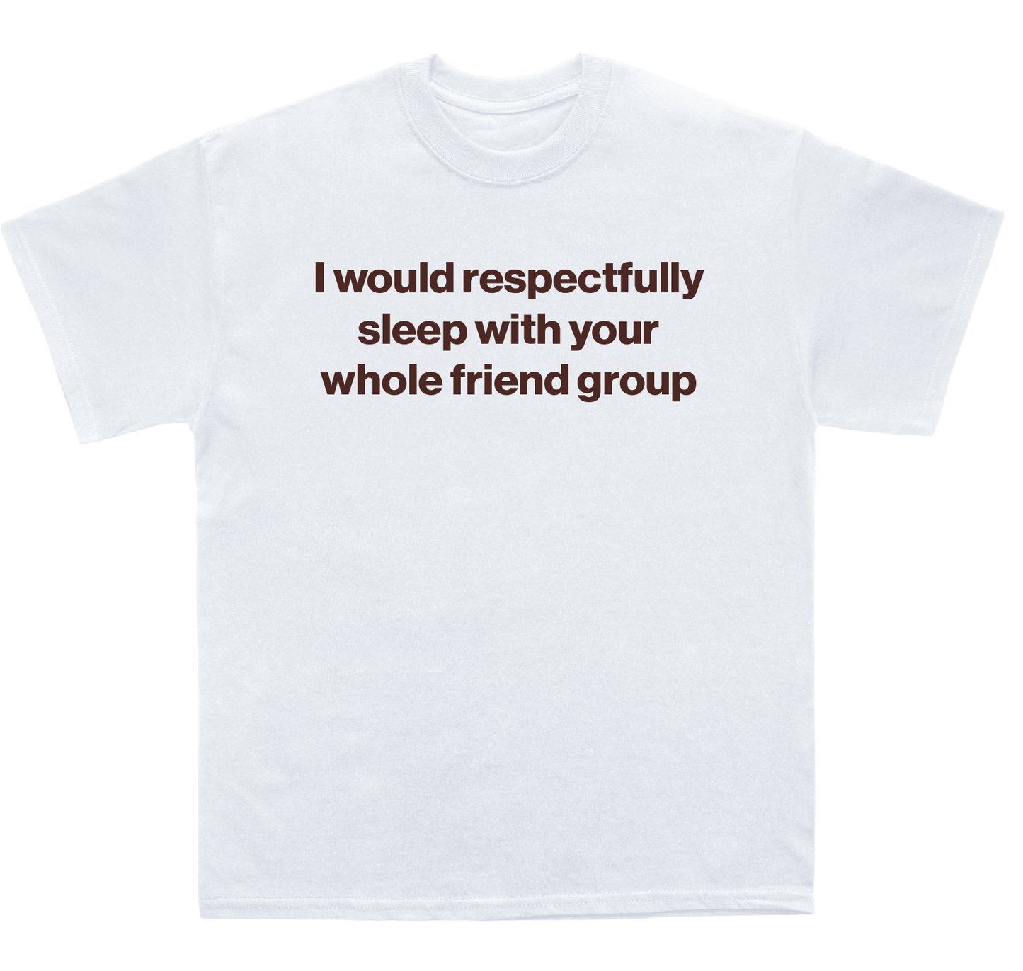 I would respectfully sleep with your whole friend group shirt