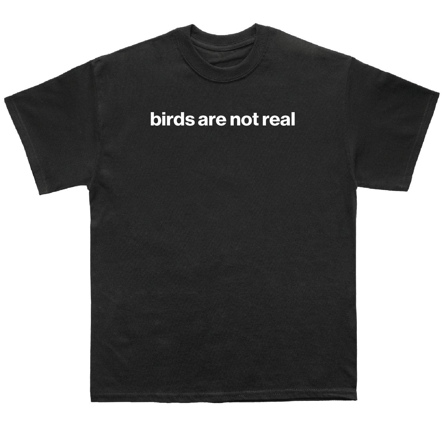 birds are not real shirt