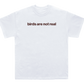 birds are not real shirt