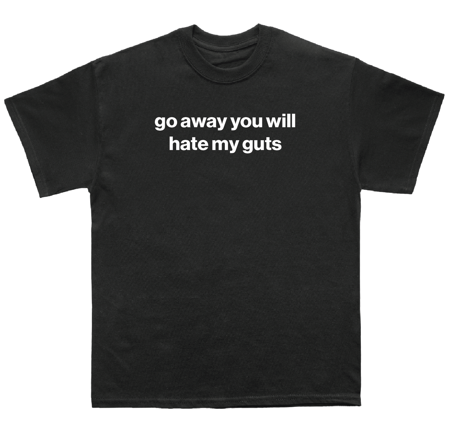go away you will hate my guts shirt