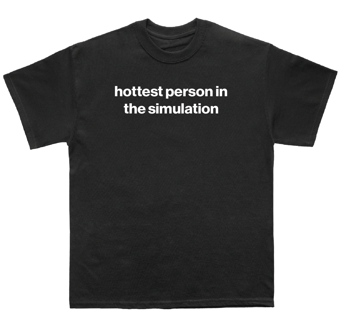 hottest person in the simulation shirt